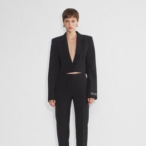 Aritzia Babaton Arbus Blazer
